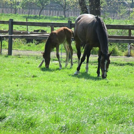B&B De Turffabriek Griendtsveen Zewnętrze zdjęcie